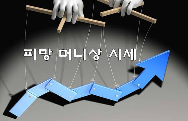 피망머니상 시세